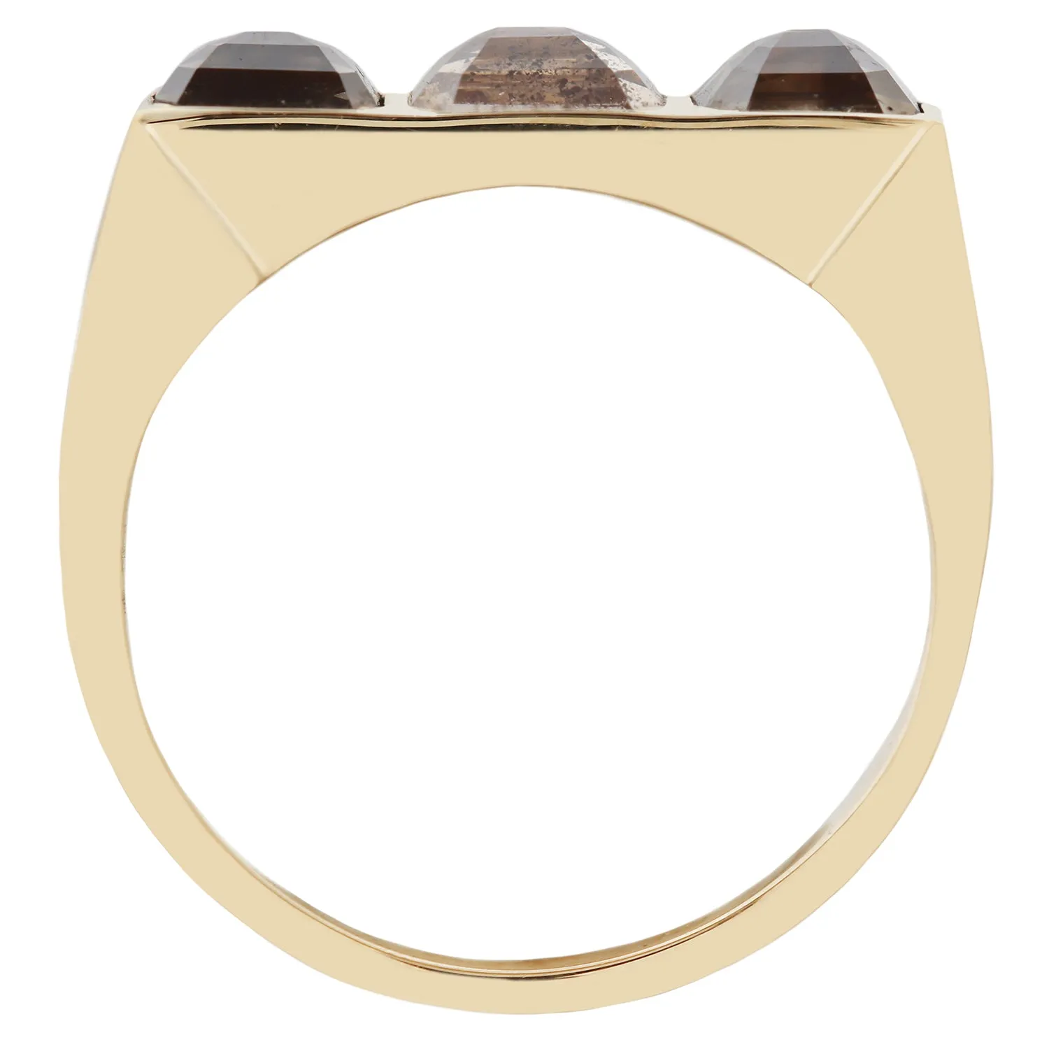 Desert Horizon Guardian Bar Ring