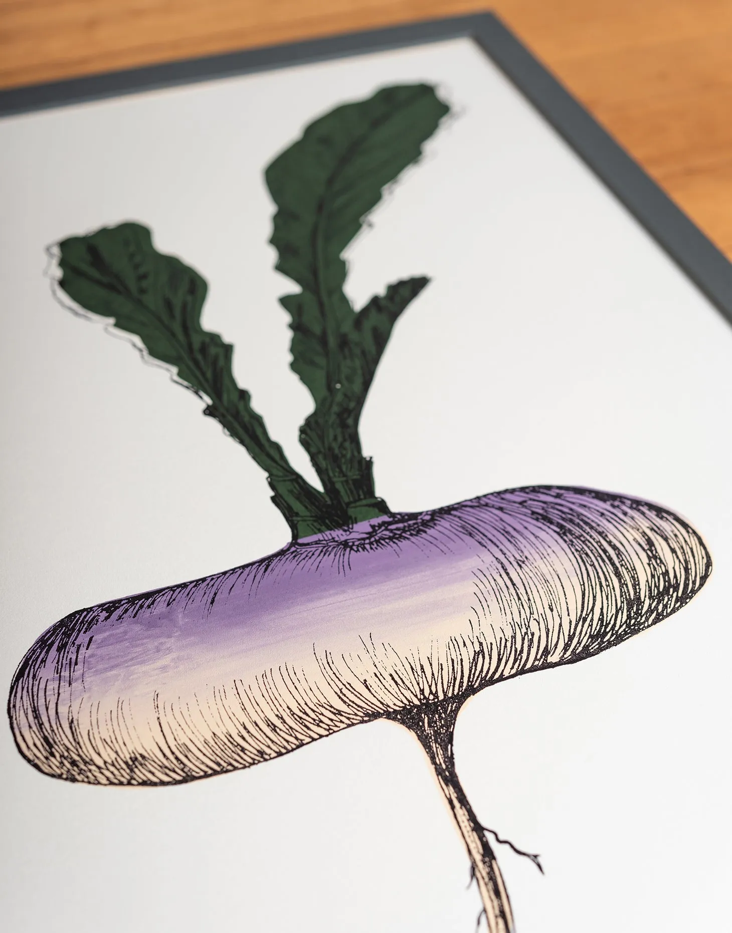 Purple Turnip Vegetable Print