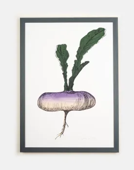 Purple Turnip Vegetable Print