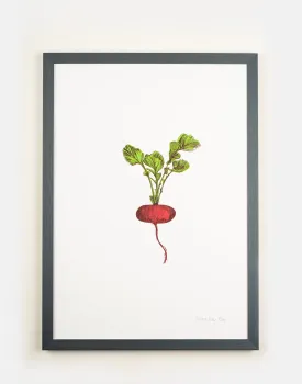 Radish Vegetable Print