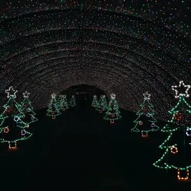 Saturday, December 21st
